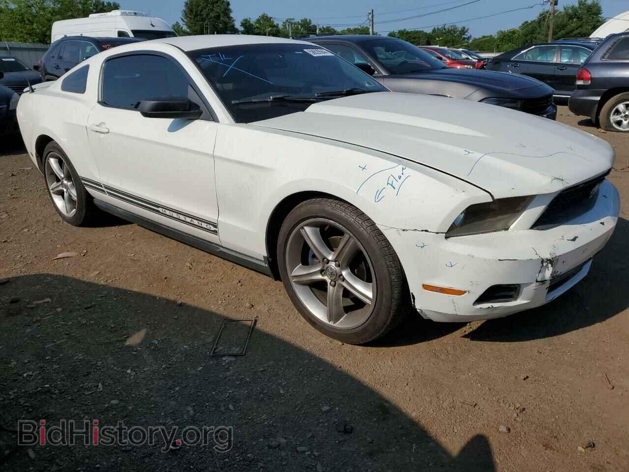 2010 FORD ALL Models - VIN: 1ZVBP8AN7A5138469 - Фото 4