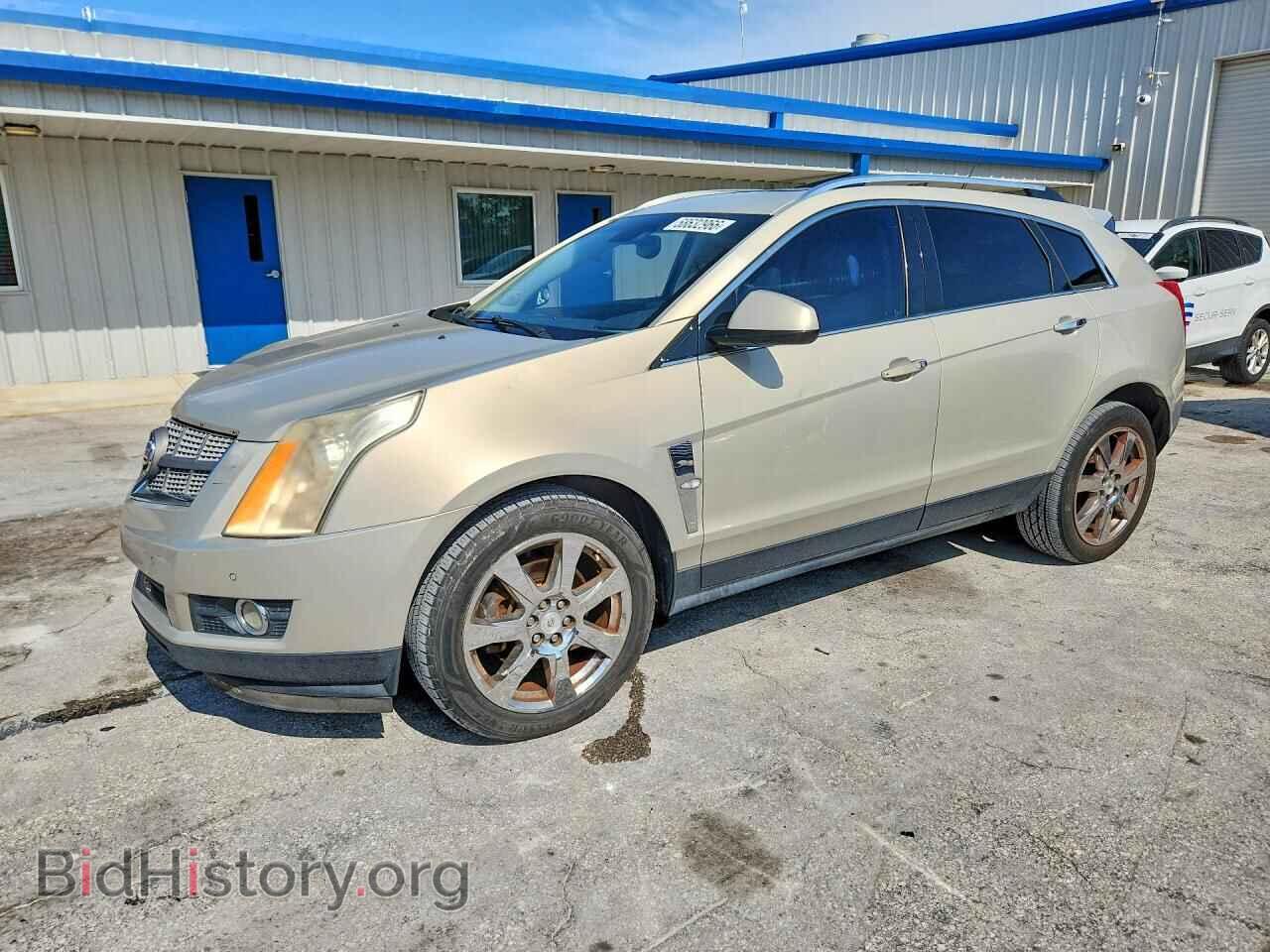 Фотография 3GYFNCEY7AS559366 - CADILLAC SRX 2010
