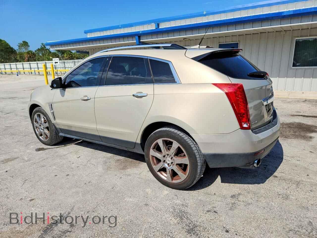2010 CADILLAC SRX - VIN: 3GYFNCEY7AS559366 - Фото 2