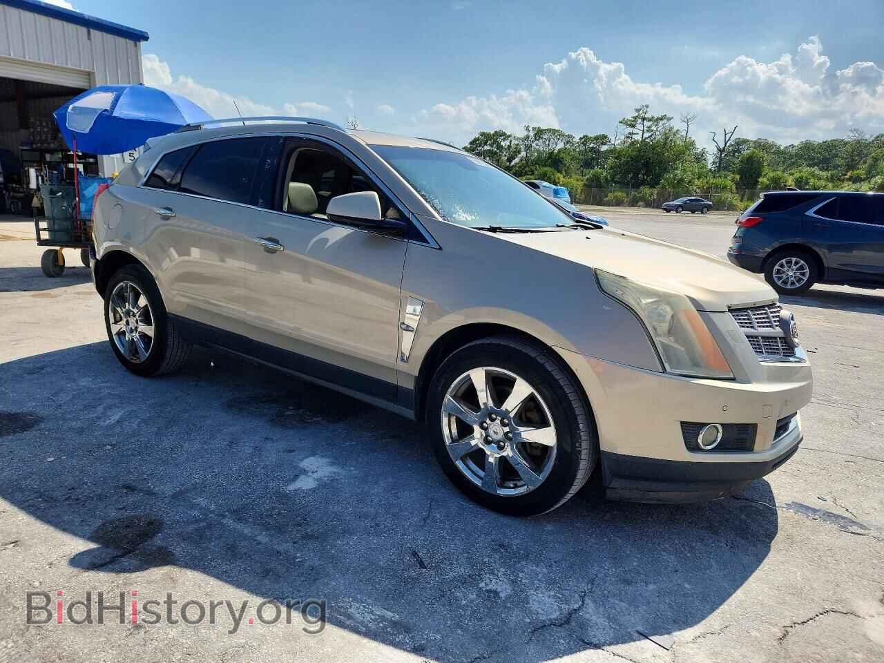 2010 CADILLAC SRX - VIN: 3GYFNCEY7AS559366 - Фото 4