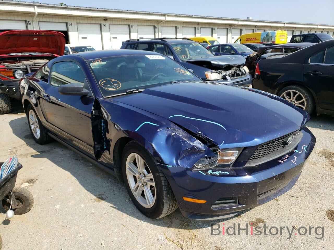 Photo 1ZVBP8AN6A5157563 - FORD MUSTANG 2010