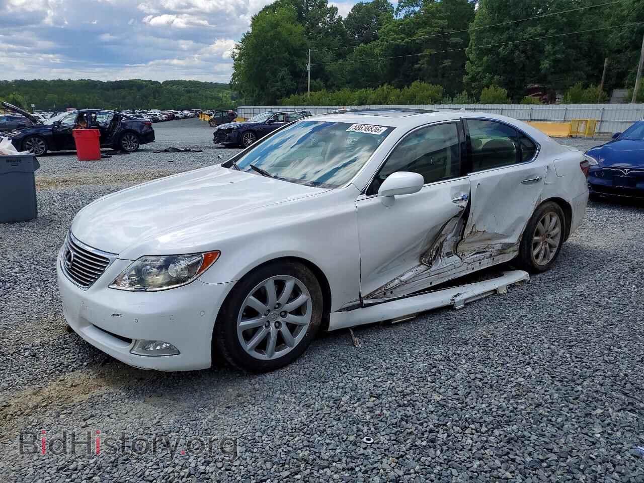 Фотография JTHBL46F195091278 - LEXUS LS460 2009