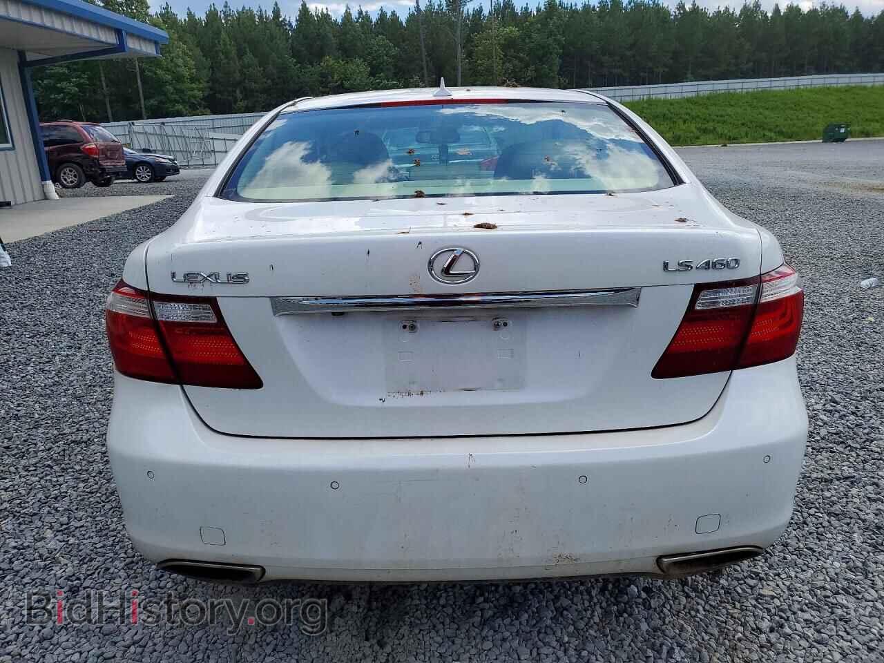 2009 LEXUS LS460 - VIN: JTHBL46F195091278 - Photo 6