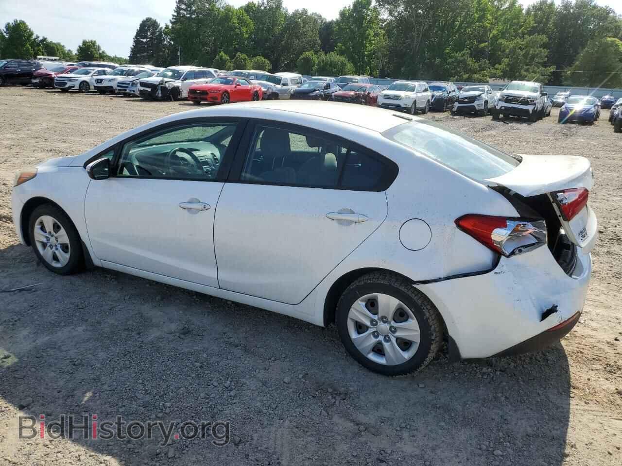 2015 KIA FORTE - VIN: KNAFX4A69F5382425 - Фото 2