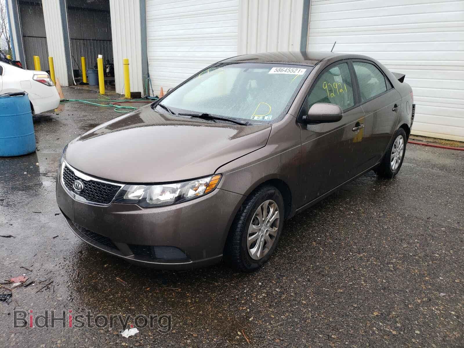 2013 KIA FORTE - VIN: KNAFU4A2XD5658193 - Фото 2