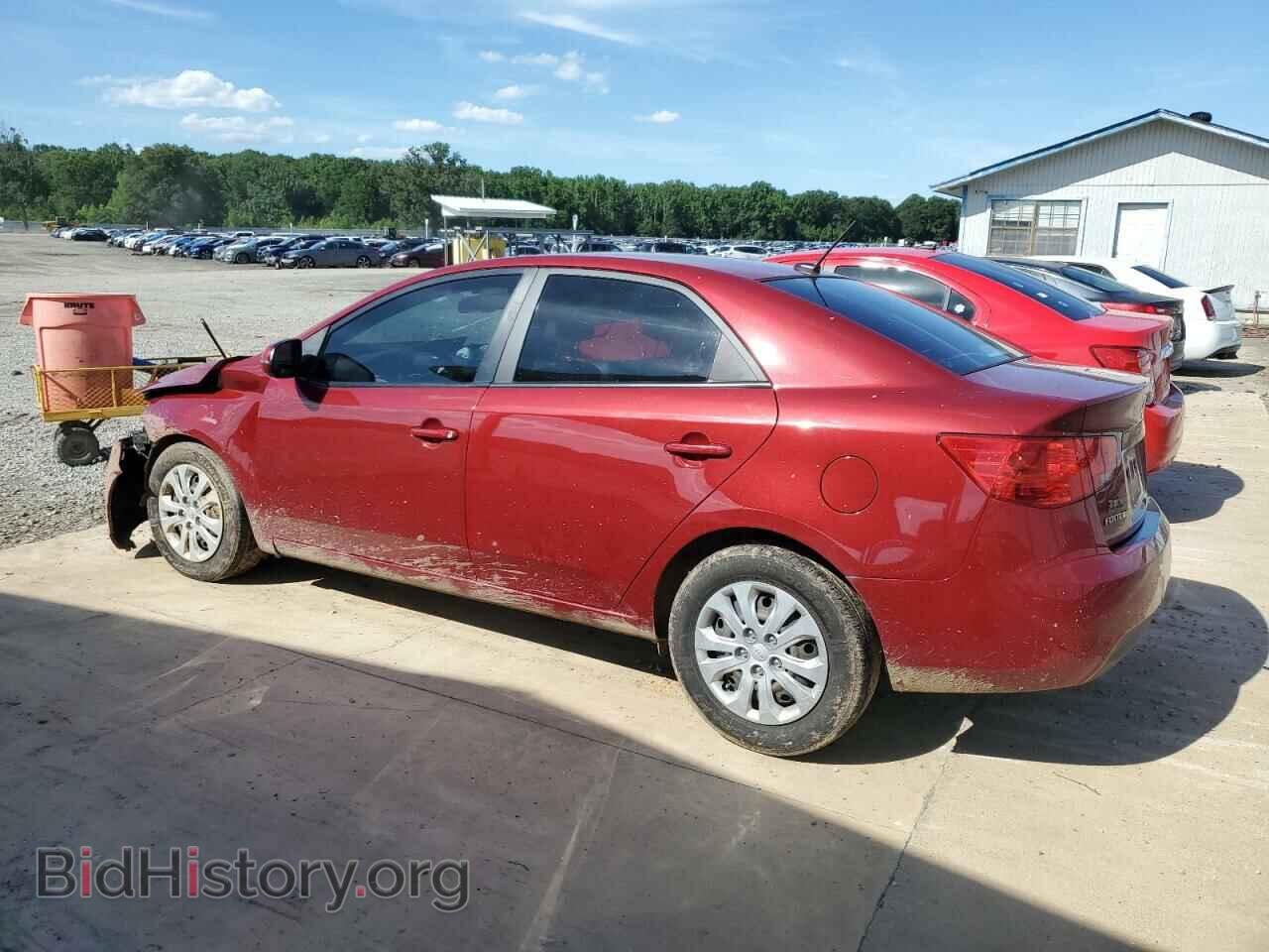 2012 KIA FORTE - VIN: KNAFU4A20C5555055 - Фото 2