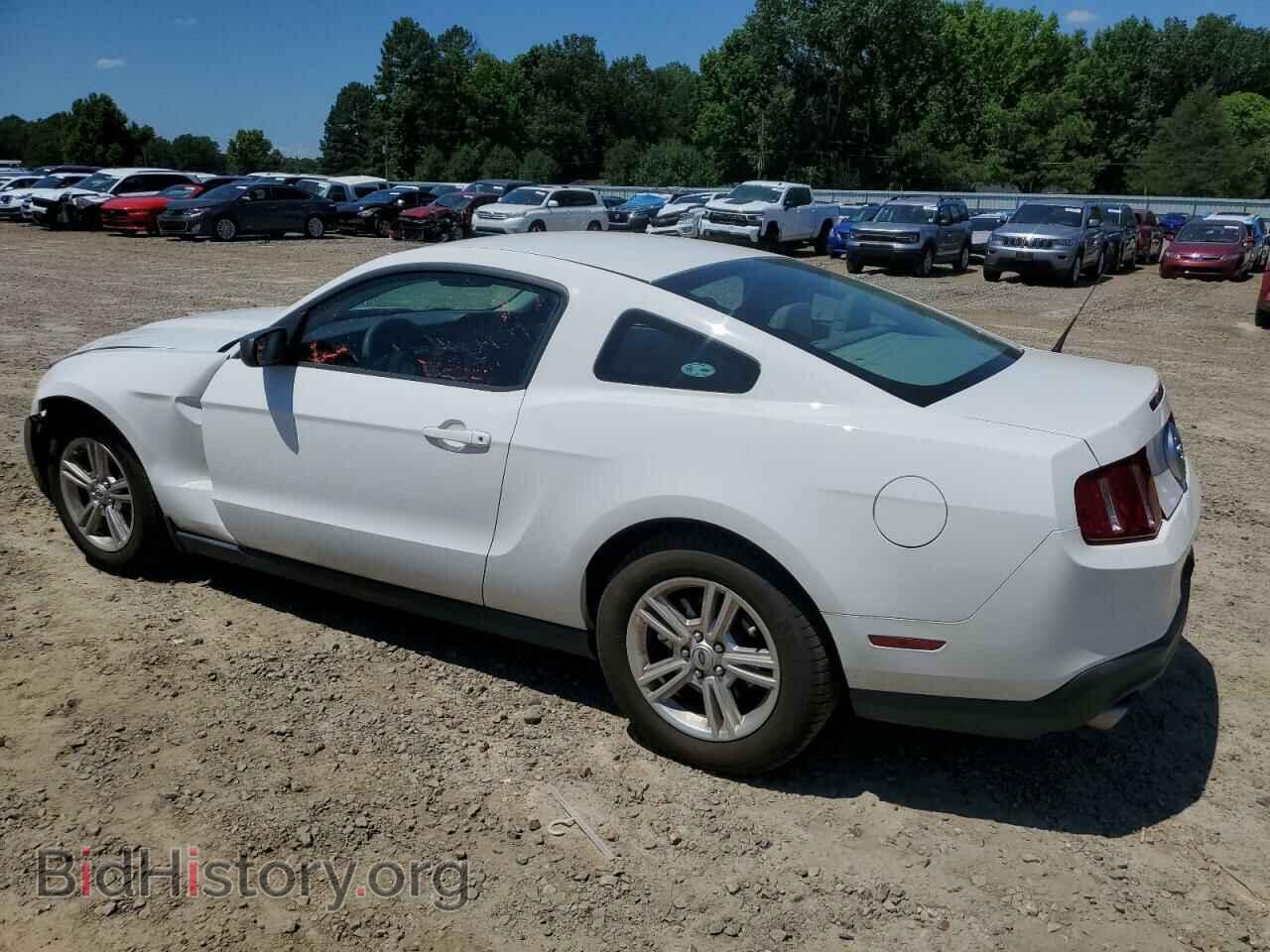 2011 FORD ALL Models - VIN: 1ZVBP8AM6B5151173 - Фото 2