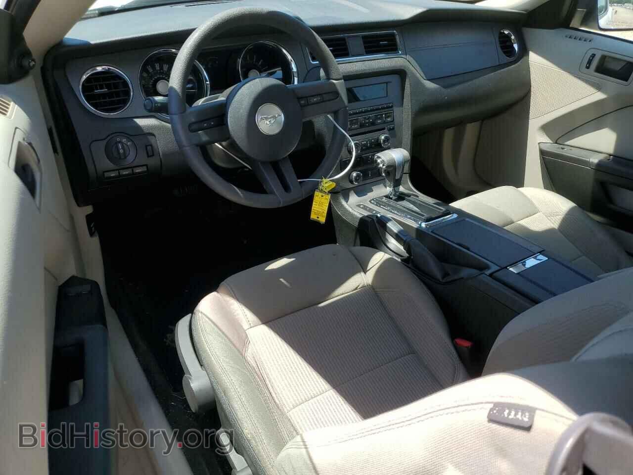 2011 FORD ALL Models - VIN: 1ZVBP8AM6B5151173 - Фото 8