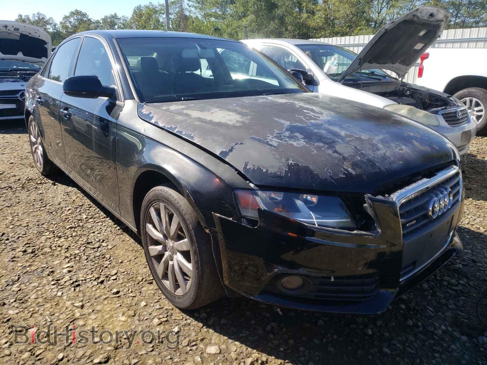 Фотография WAUBFAFL2CN004604 - AUDI A4 2012