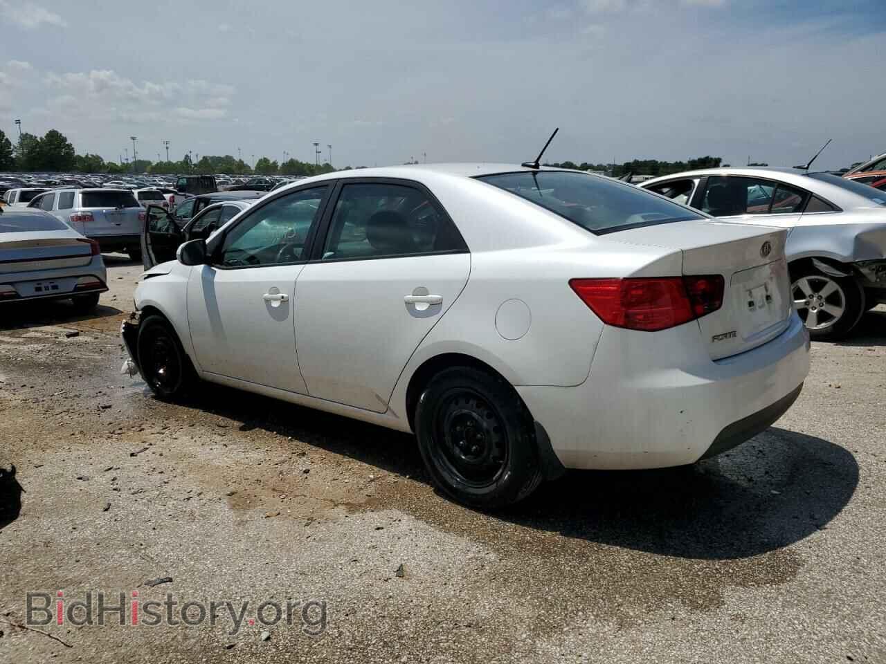 2011 KIA FORTE - VIN: KNAFU4A25B5459727 - Фото 2