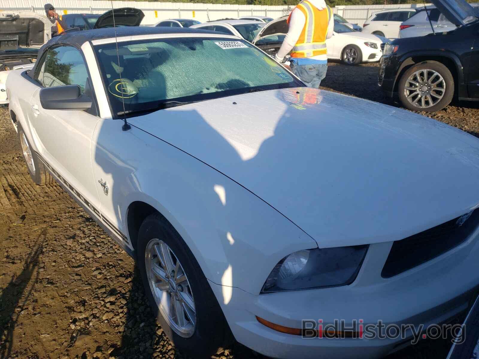 Photo 1ZVHT84N495115731 - FORD MUSTANG 2009