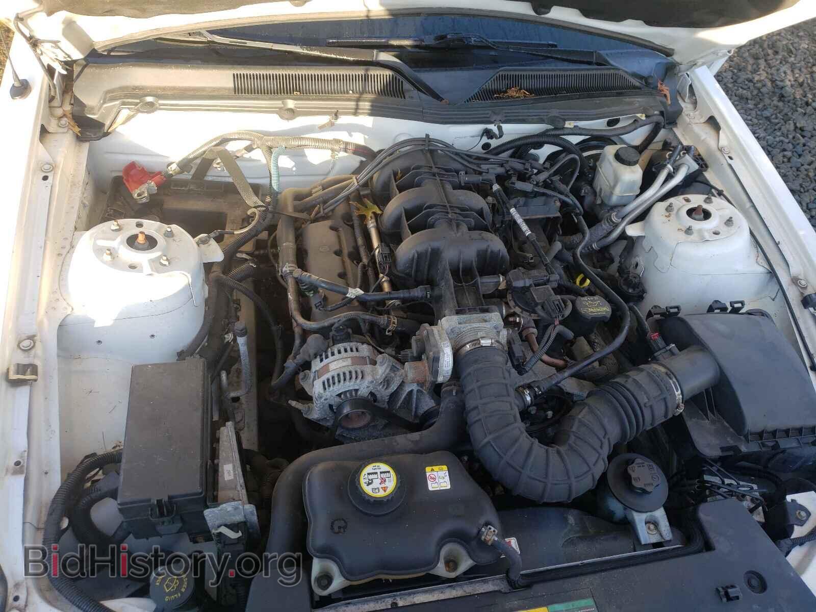 2009 FORD MUSTANG - VIN: 1ZVHT84N495115731 - Фото 7
