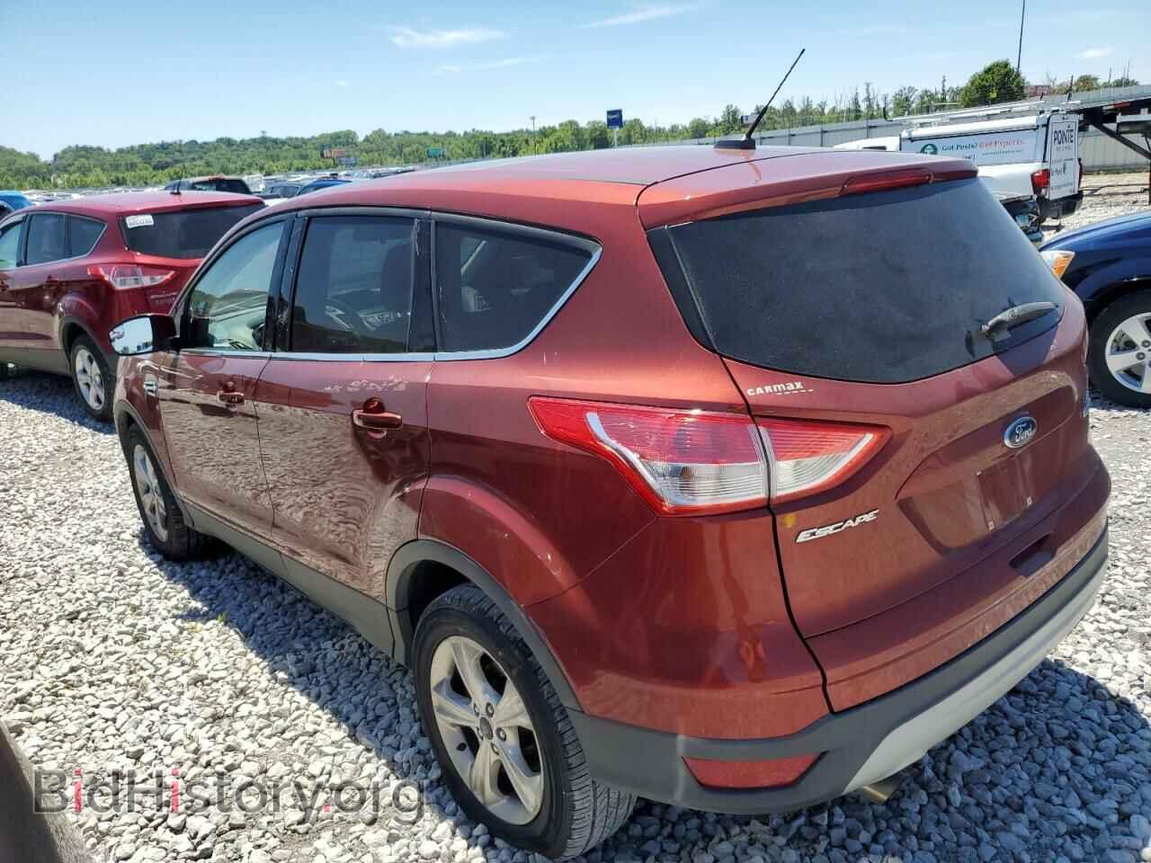 2014 FORD ESCAPE - VIN: 1FMCU0GX4EUE48595 - Photo 2