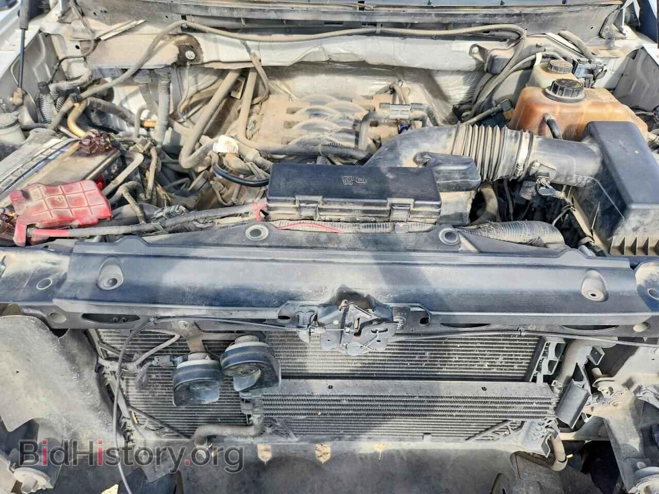 2011 FORD F150 - VIN: 1FTFX1EF9BFB59074 - Фото 11