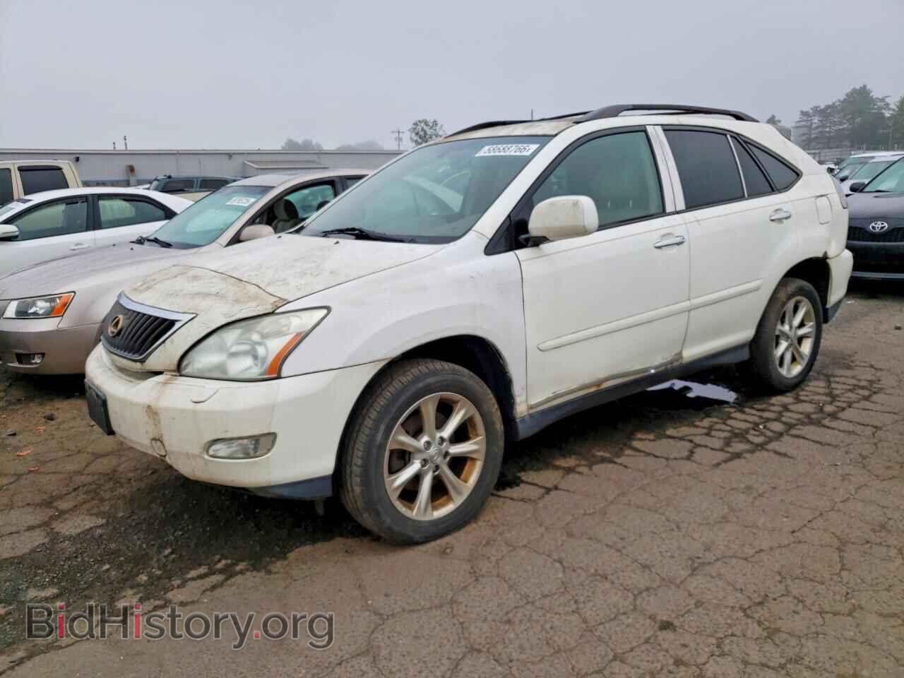 Фотография 2T2HK31UX8C091193 - LEXUS RX350 2008
