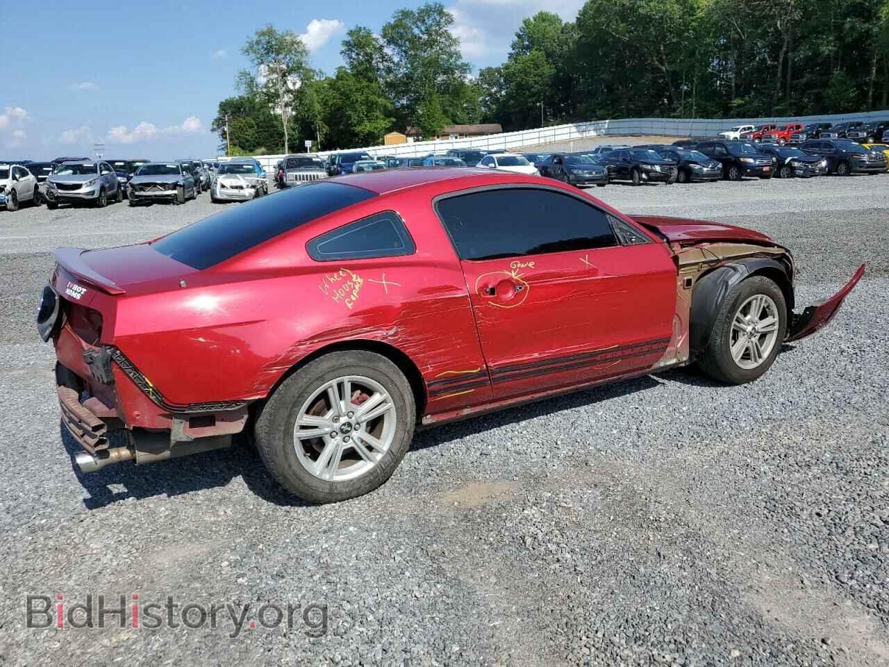 2013 FORD ALL Models - VIN: 1ZVBP8AM5D5220549 - Фото 3