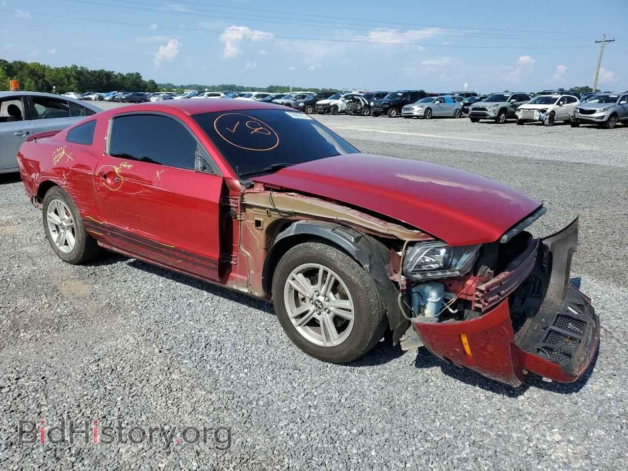 2013 FORD ALL Models - VIN: 1ZVBP8AM5D5220549 - Фото 4