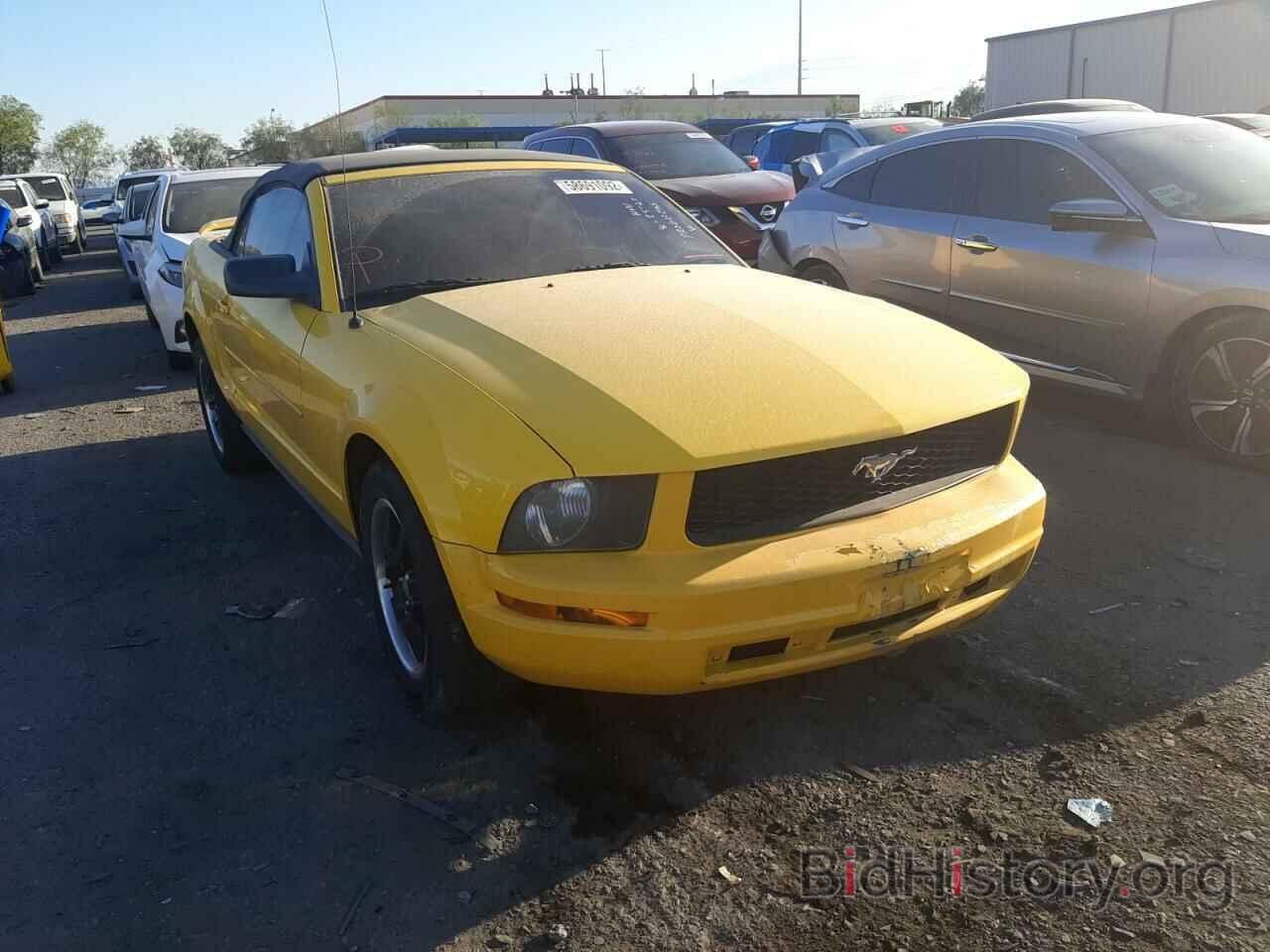 Photo 1ZVFT84N765201988 - FORD MUSTANG 2006