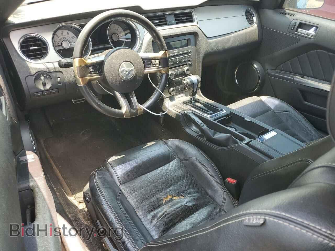 2010 FORD ALL Models - VIN: 1ZVBP8AN3A5124469 - Фото 8