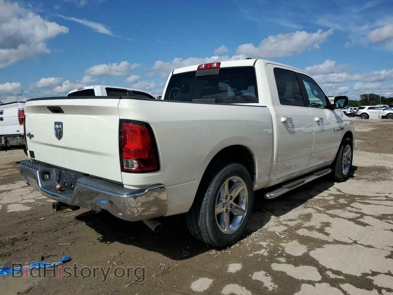 2009 DODGE All Models - VIN: 1D3HB13T59J501909 - Фото 3