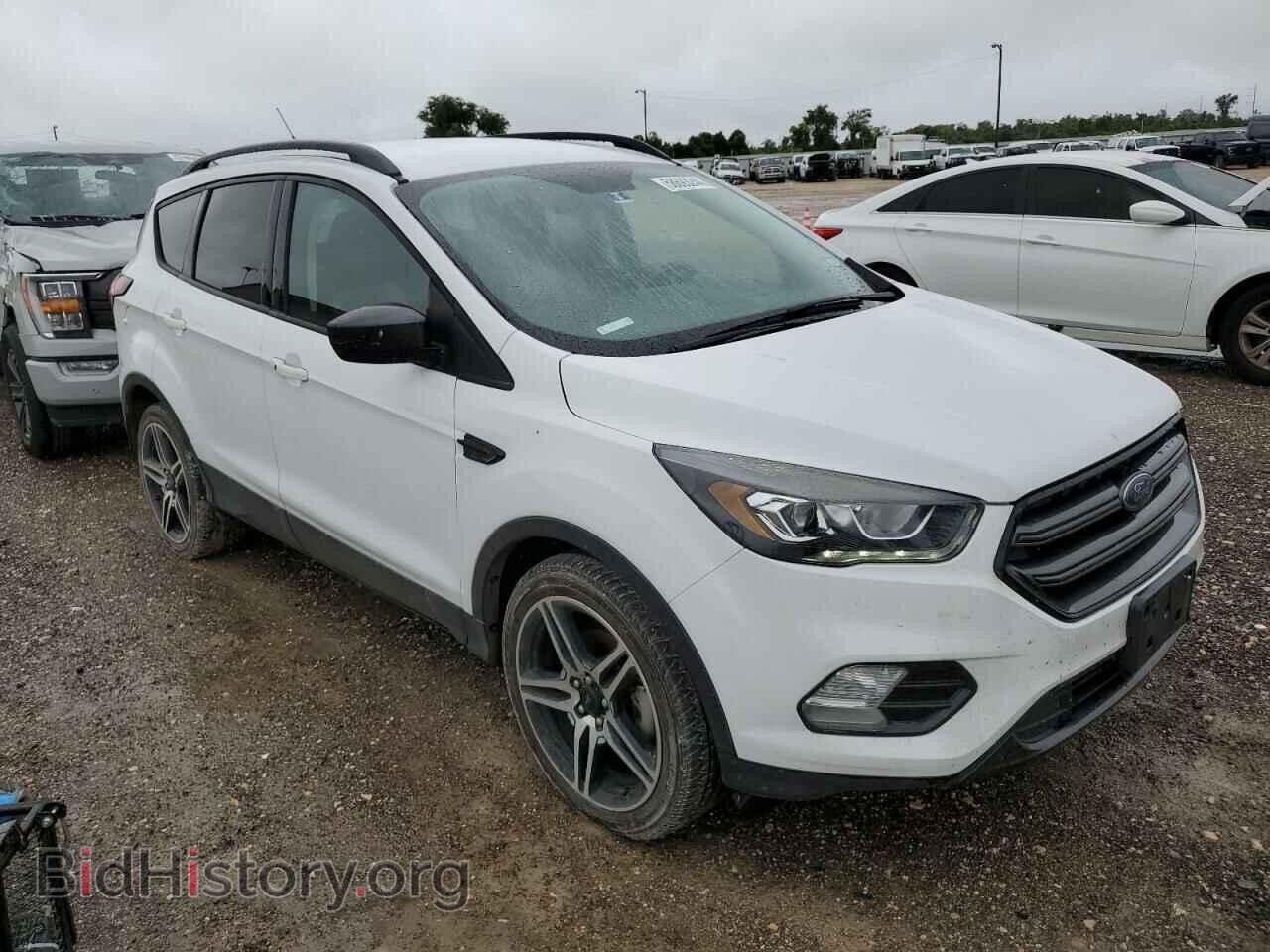2019 FORD ESCAPE - VIN: 1FMCU0HD2KUB55908 - Фото 4