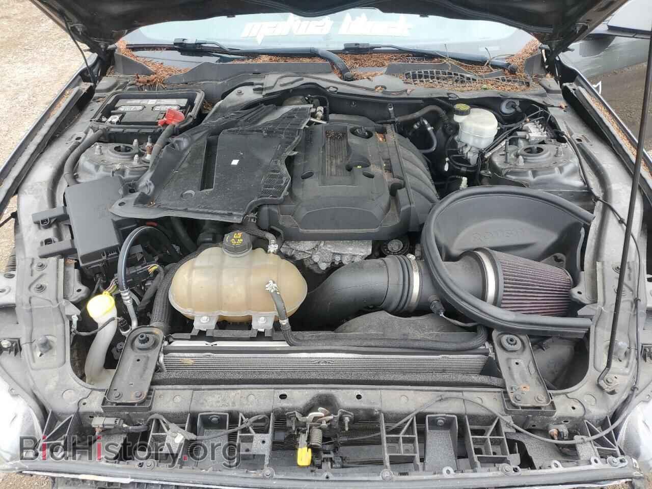 2016 FORD ALL Models - VIN: 1FA6P8TH5G5319774 - Photo 11
