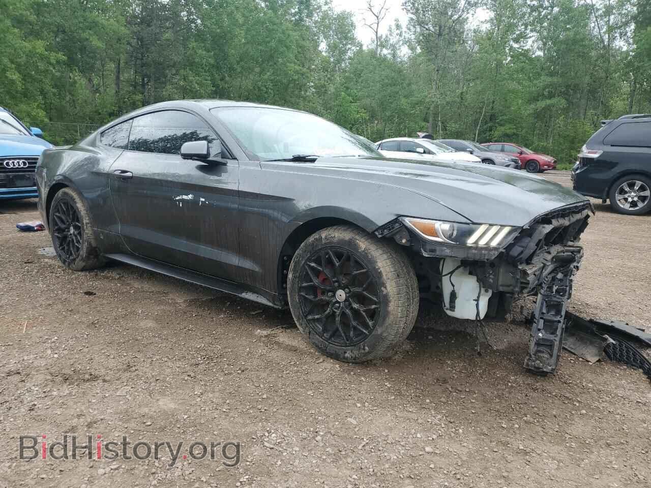 2016 FORD ALL Models - VIN: 1FA6P8TH5G5319774 - Photo 4