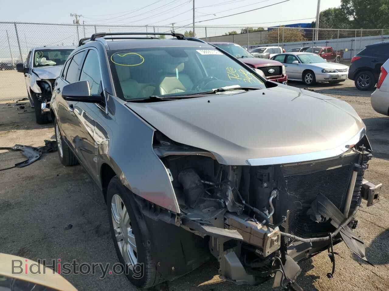 Фотография 3GYFNAE32CS512242 - CADILLAC SRX 2012