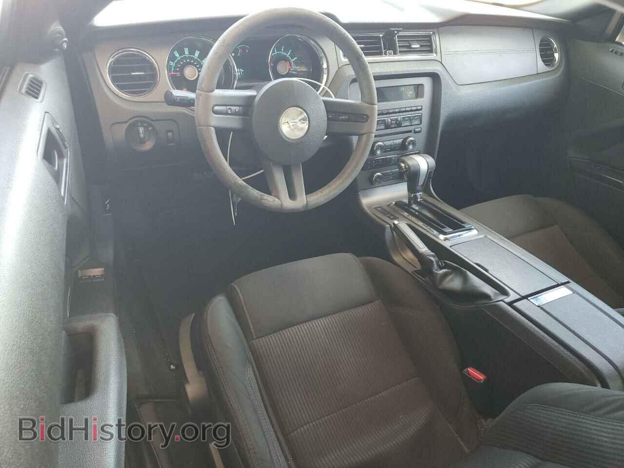 2010 FORD ALL Models - VIN: 1ZVBP8AN8A5159413 - Фото 8