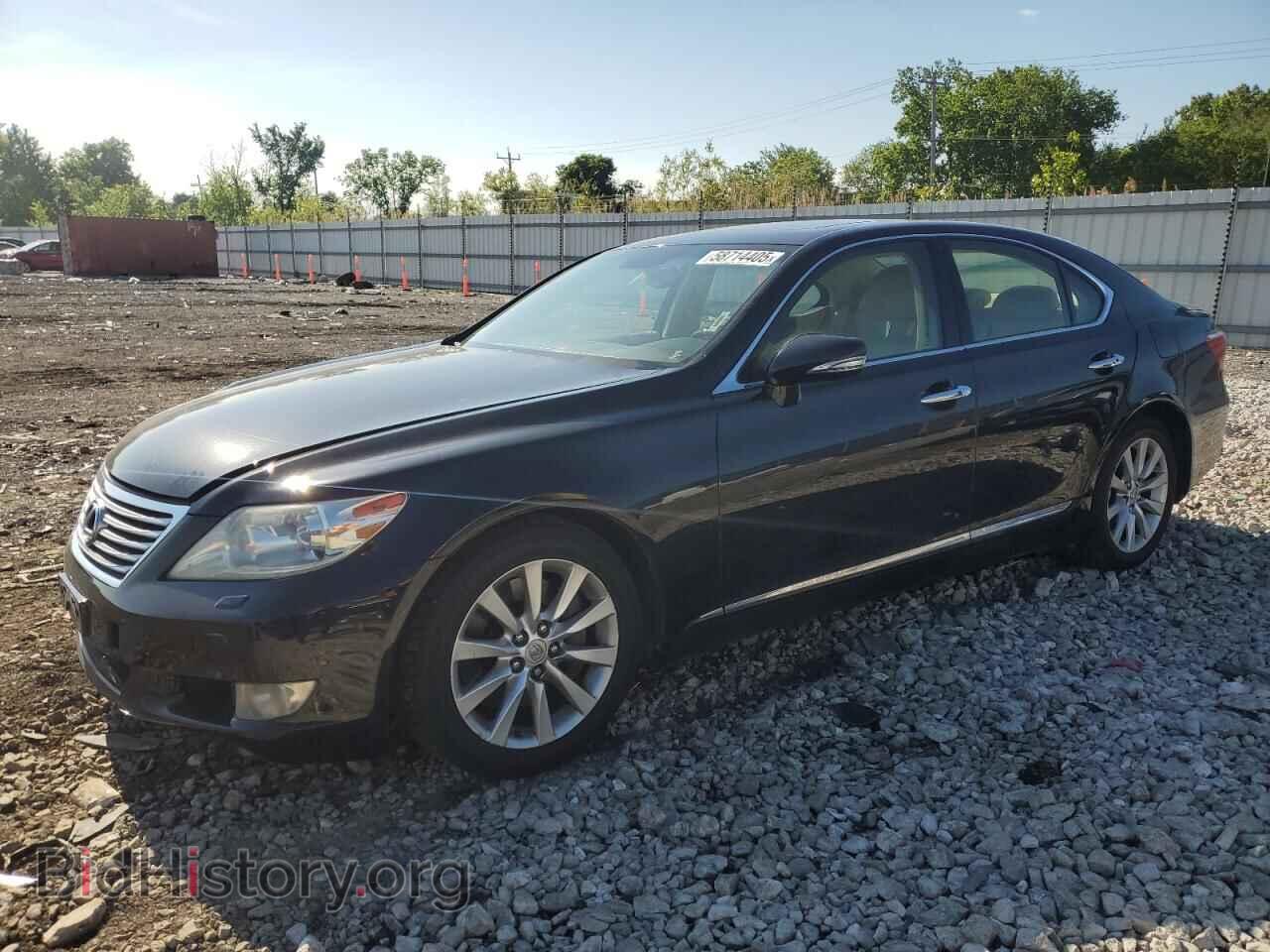 Фотография JTHCL5EF8B5011265 - LEXUS LS460 2011