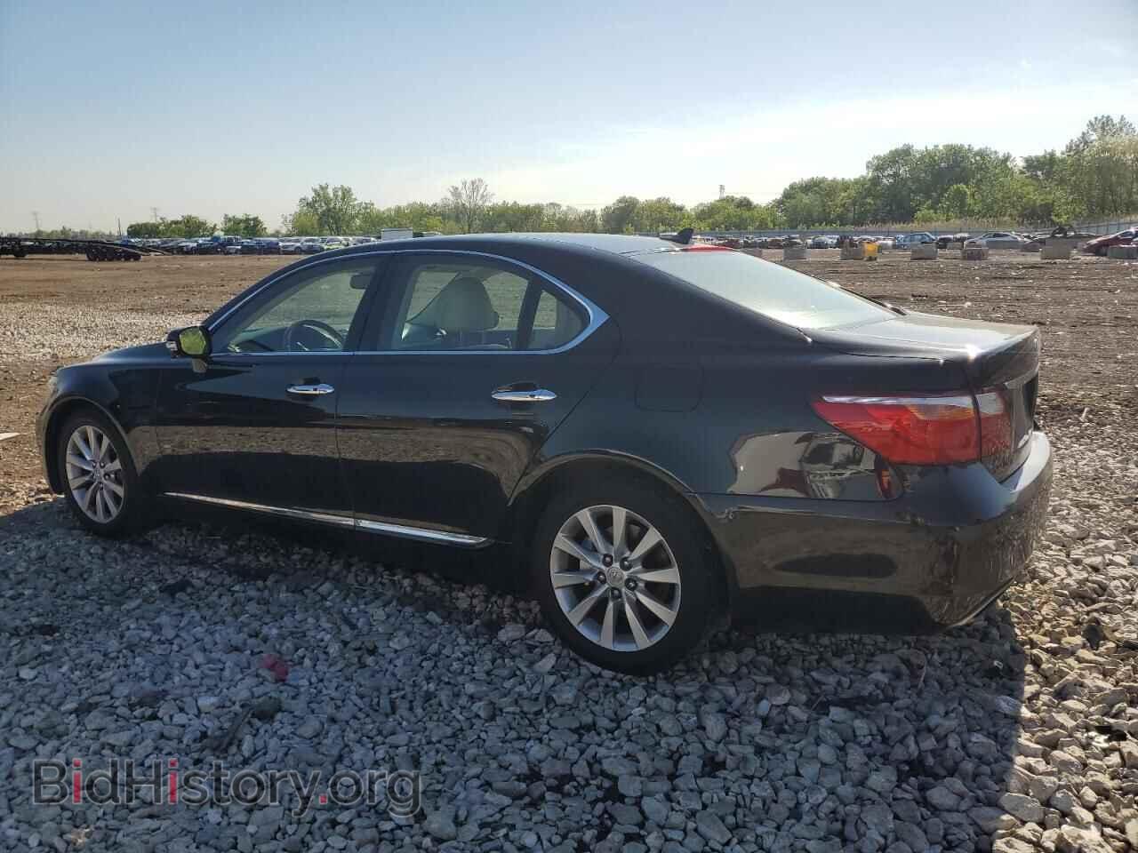 2011 LEXUS LS460 - VIN: JTHCL5EF8B5011265 - Photo 2