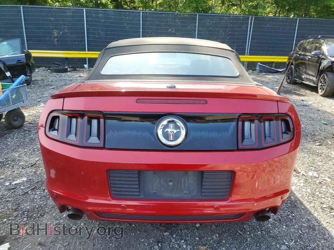2013 FORD MUSTANG - VIN: 1ZVBP8EM6D5228895 - Фото 6