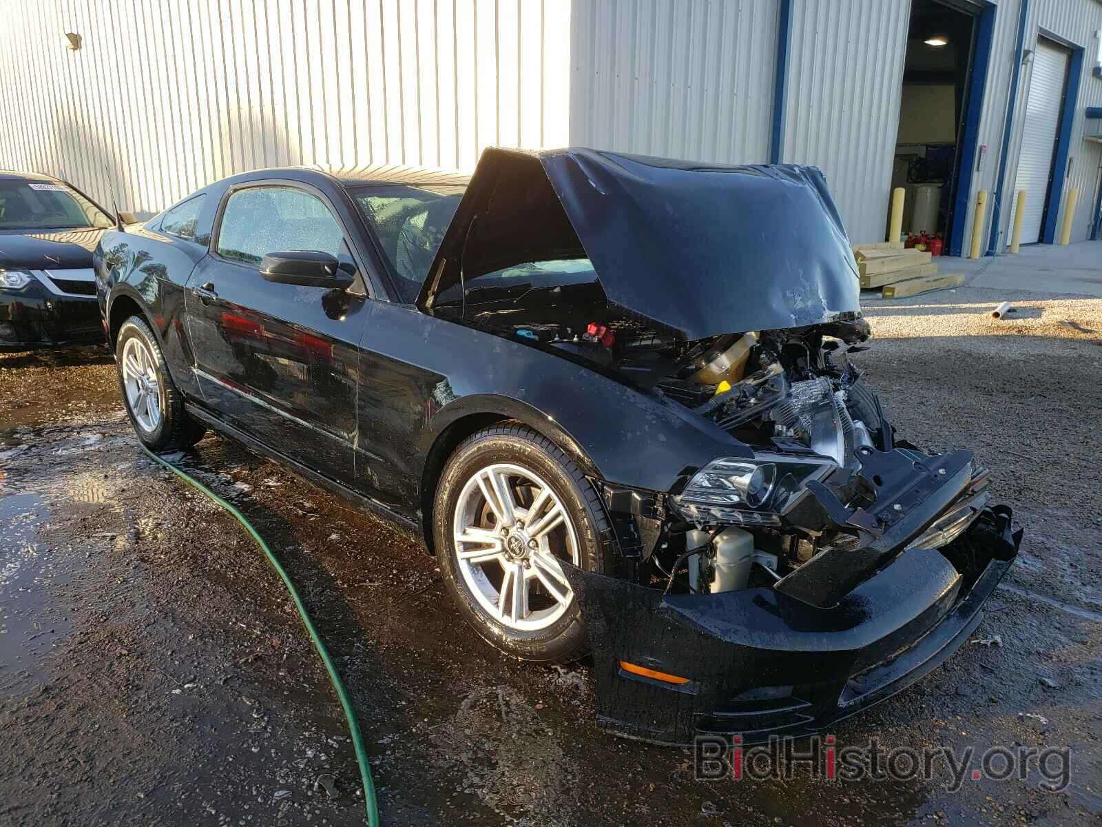 Photo 1ZVBP8AM4D5230988 - FORD MUSTANG 2013