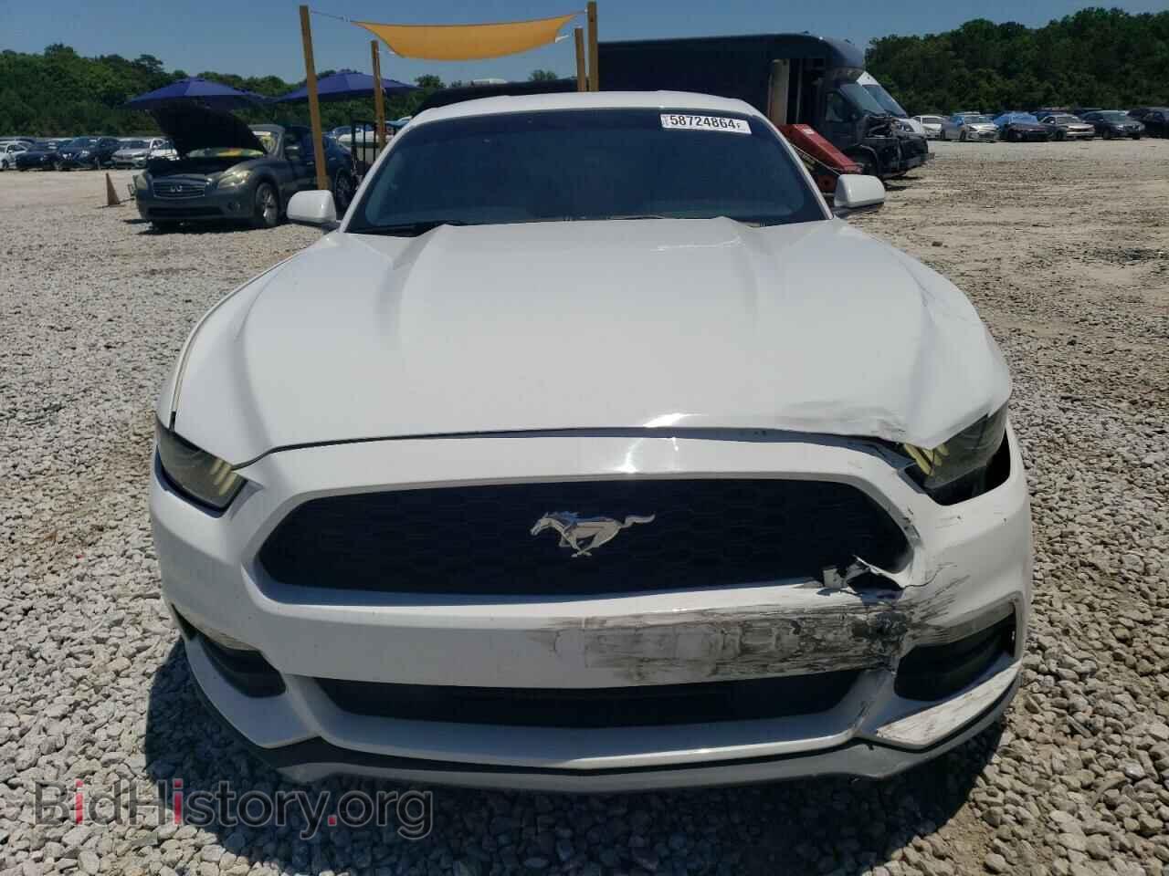 2017 FORD ALL Models - VIN: 1FA6P8AM3H5228102 - Photo 5