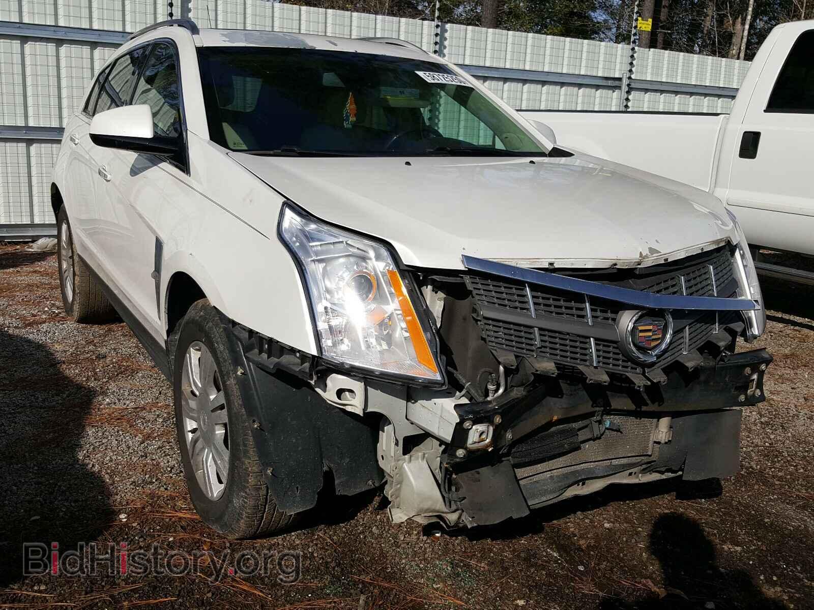 Photo 3GYFNAE34CS611029 - CADILLAC SRX 2012