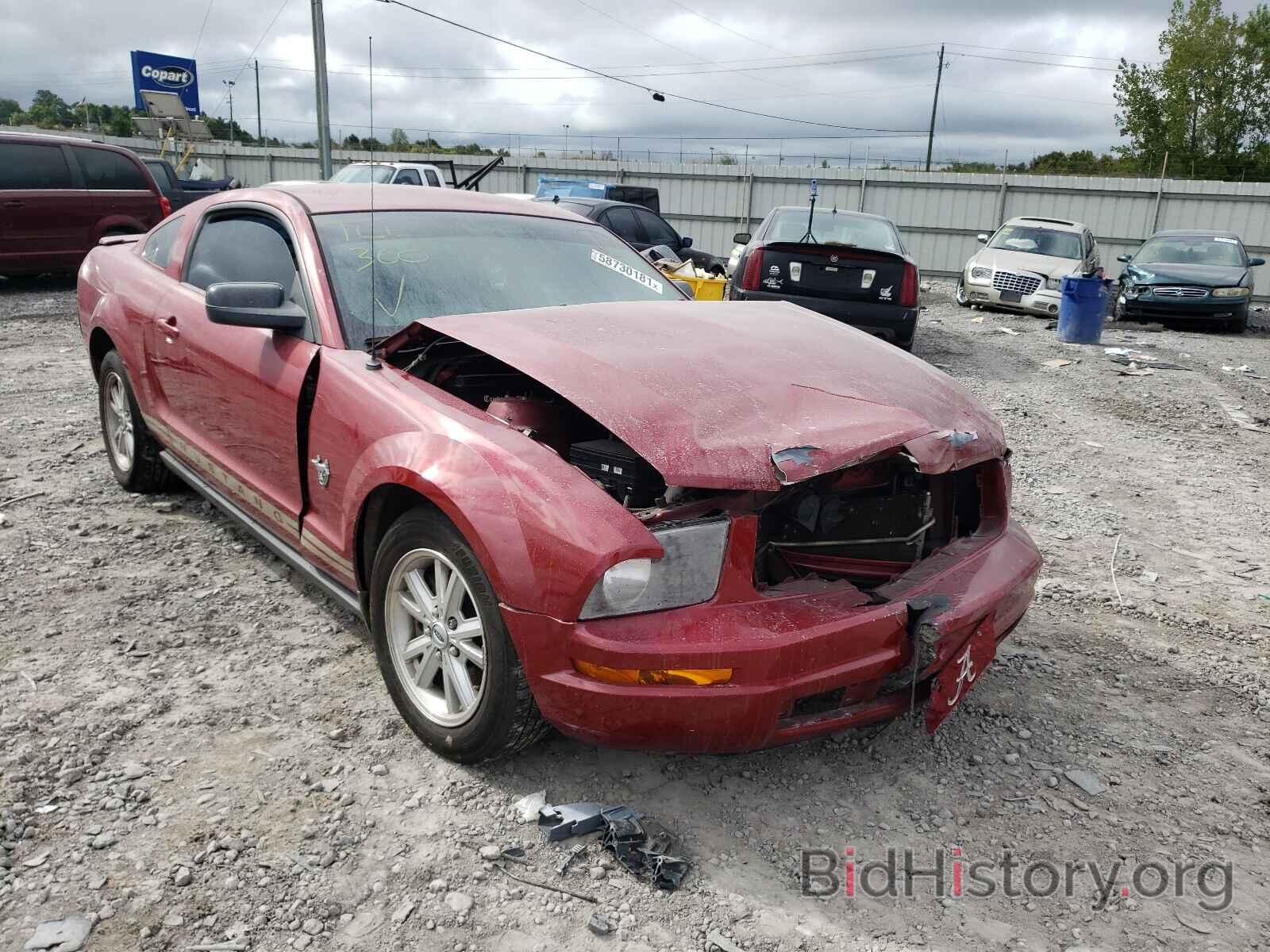 Photo 1ZVHT80N295122232 - FORD MUSTANG 2009