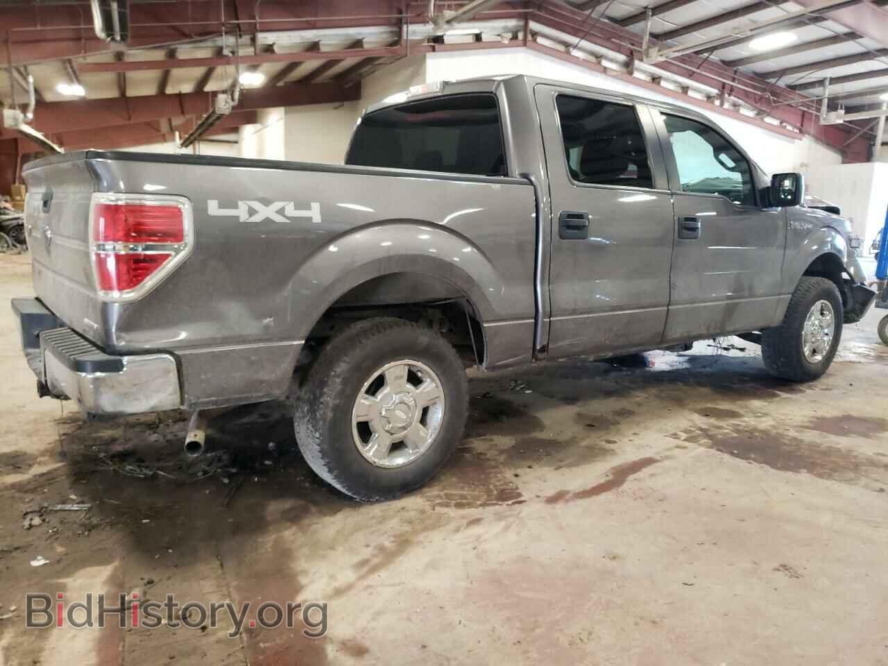 2013 FORD F-150 - VIN: 1FTFW1EF4DFA20699 - Фото 3