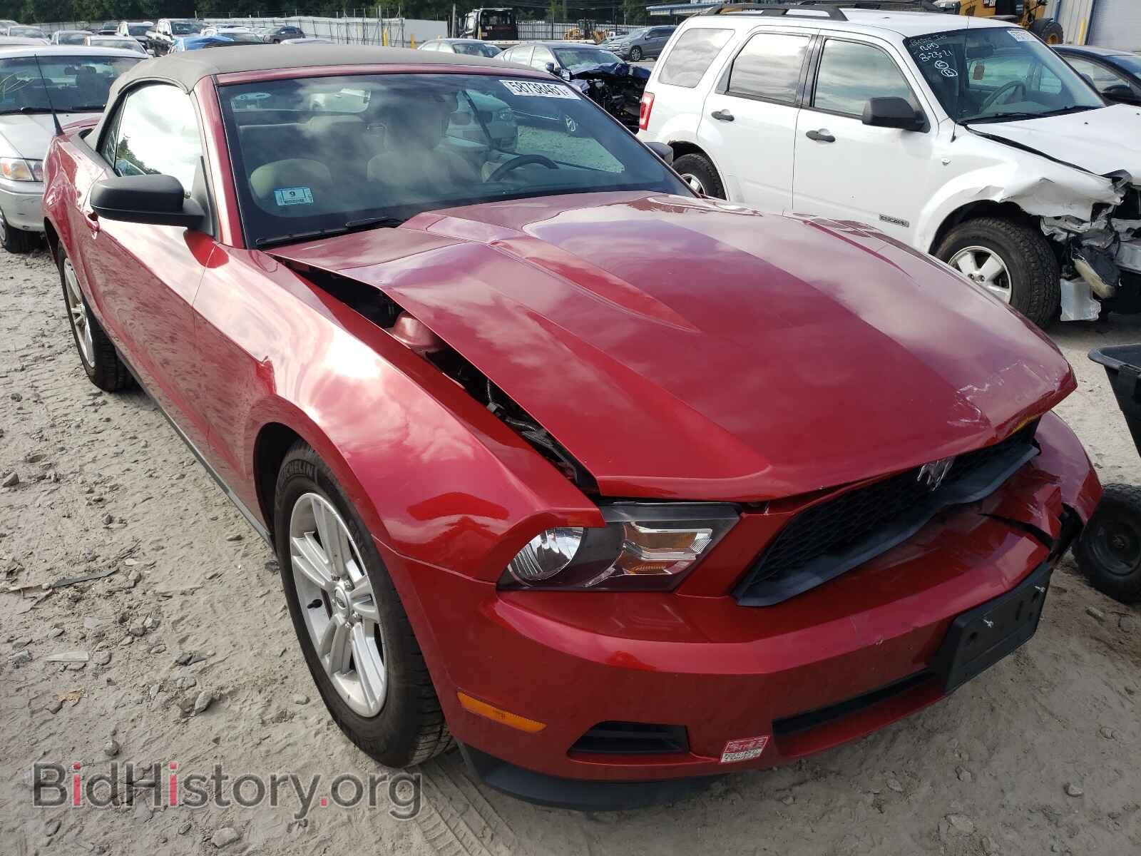 Photo 1ZVBP8EMXB5159402 - FORD MUSTANG 2011