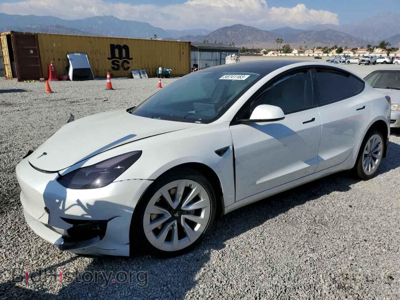 Photo 5YJ3E1EB2MF925059 - TESLA MODEL 3 2021