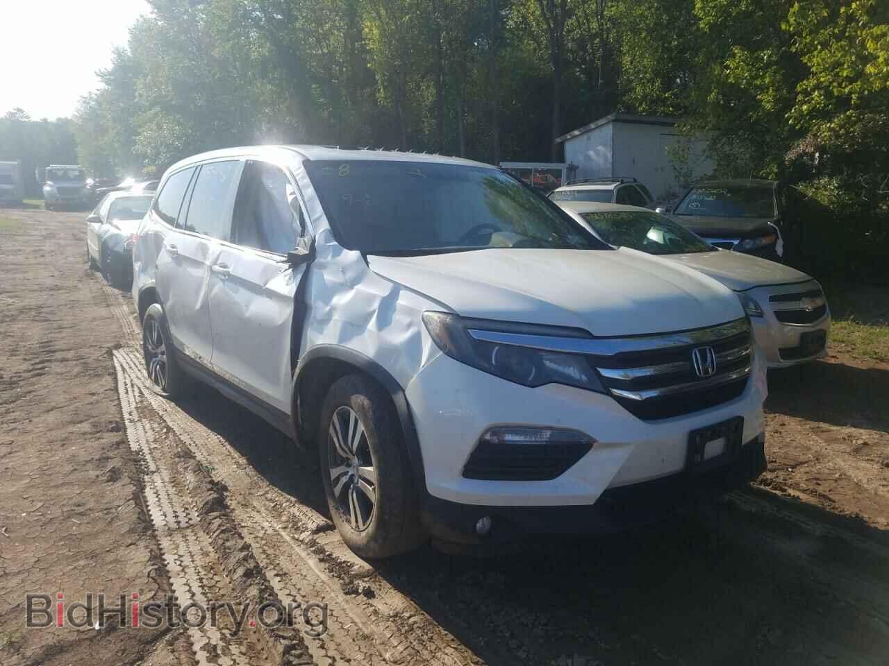 Фотография 5FNYF6H57GB036011 - HONDA PILOT 2016