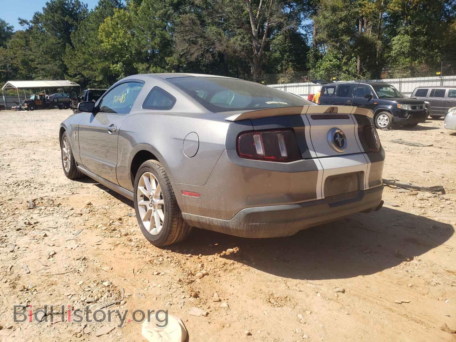 2010 FORD MUSTANG - VIN: 1ZVBP8AN7A5133725 - Фото 3