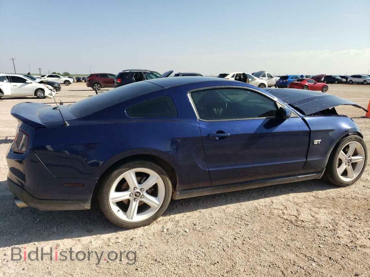 2010 FORD MUSTANG - VIN: 1ZVBP8CH9A5166605 - Фото 3