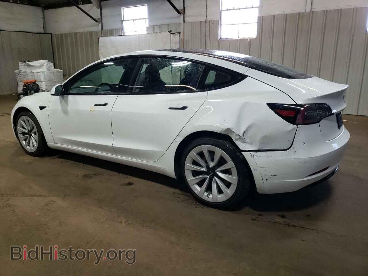 2023 TESLA MODEL 3 - VIN: 5YJ3E1EA3PF429845 - Photo 2