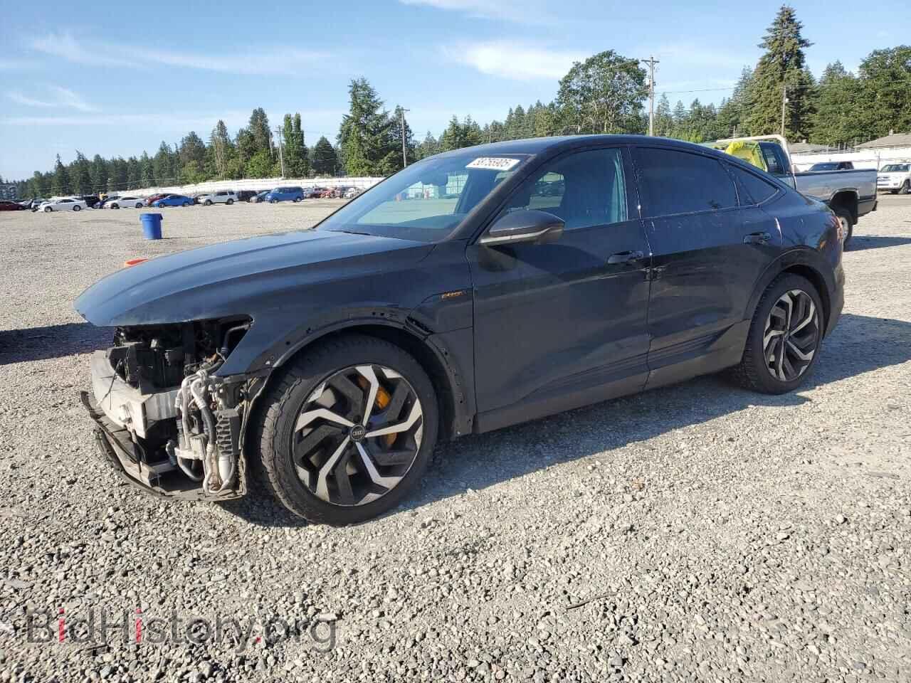 Фотография WA12AAGEXPB024800 - AUDI E-TRON 2023