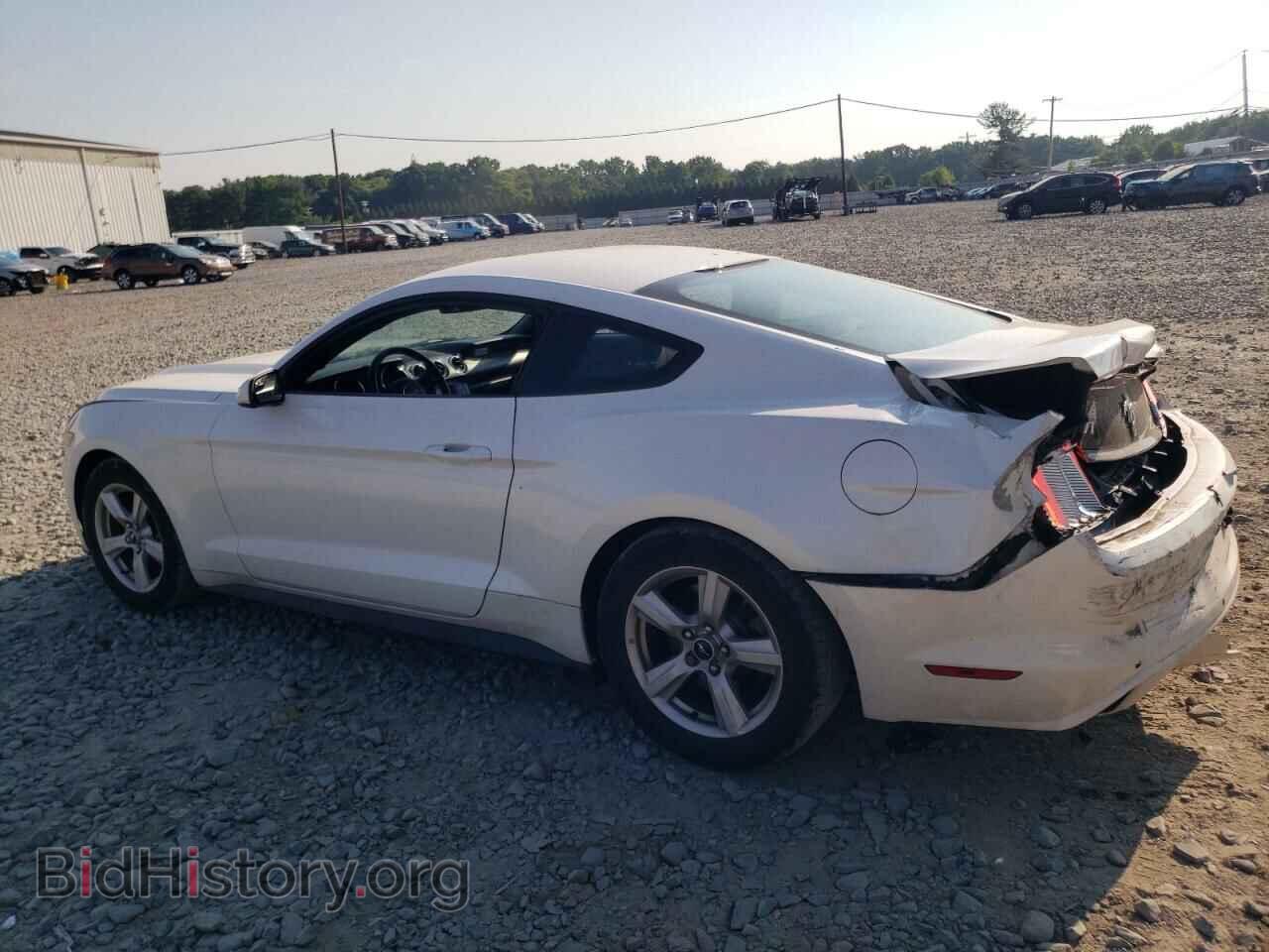 2017 FORD ALL Models - VIN: 1FA6P8AM1H5228051 - Фото 2