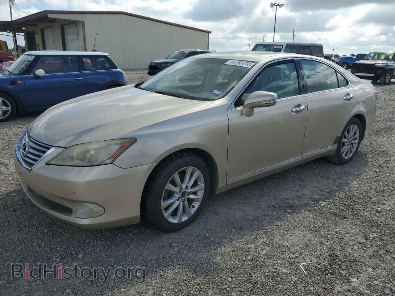 Фотография JTHBK1EG2A2394927 - LEXUS ES350 2010