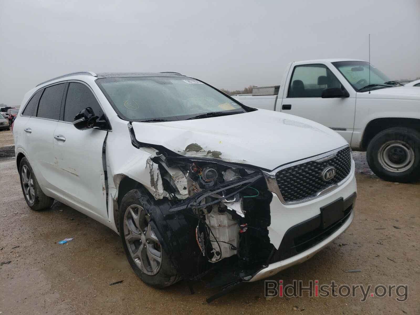 Photo 5XYPK4A59GG108356 - KIA SORENTO 2016