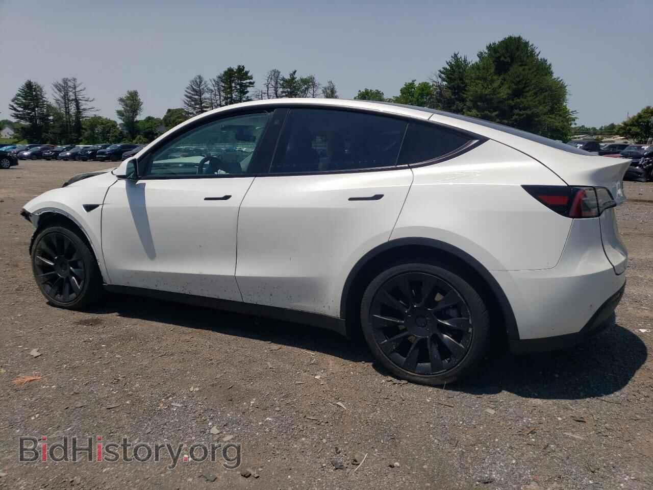 2023 TESLA MODEL Y - VIN: 7SAYGAEE3PF665191 - Фото 2