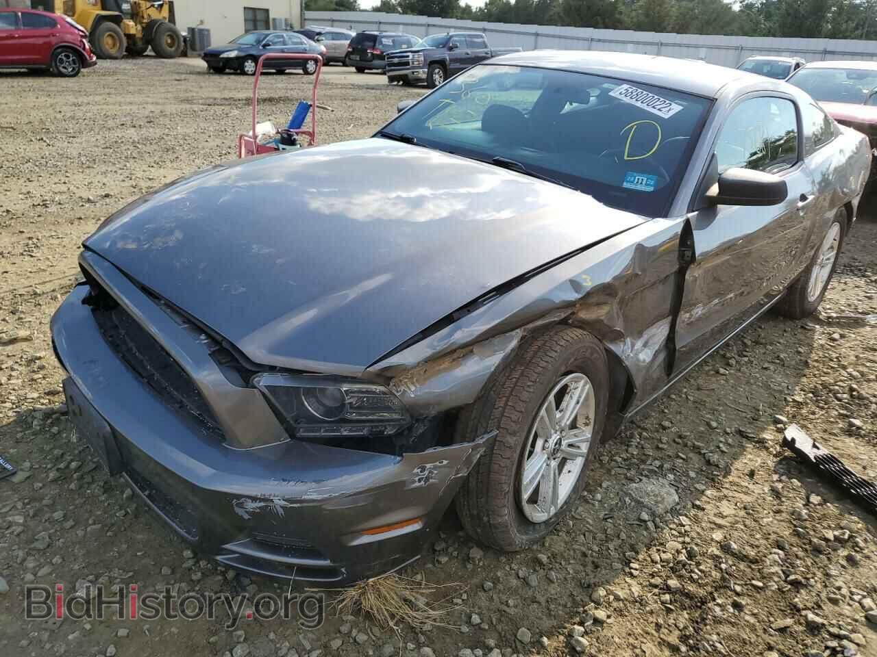 2014 FORD MUSTANG - VIN: 1ZVBP8AM4E5257884 - Фото 2