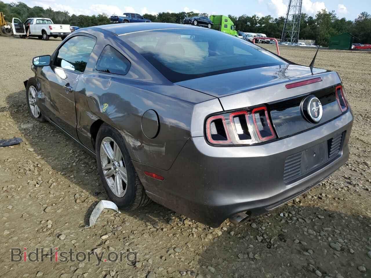 2014 FORD MUSTANG - VIN: 1ZVBP8AM4E5257884 - Фото 3